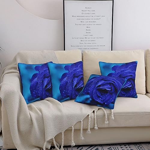 Housse de coussin romantique rose bleue BAFAFA douceur pour nid douillet - 5