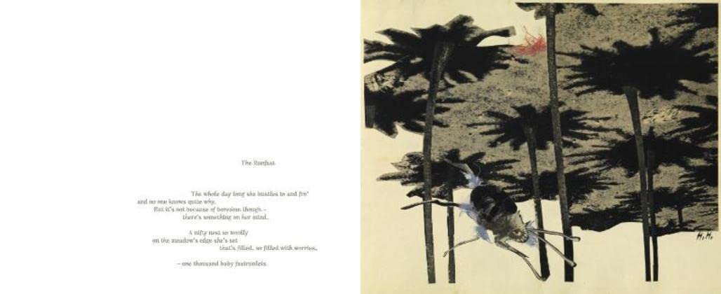 Picture Book