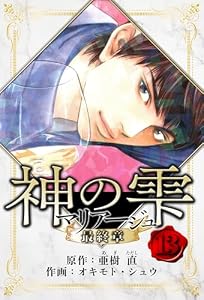 マリアージュ ～神の雫 最終章～　愛蔵版　13 (アルト出版)