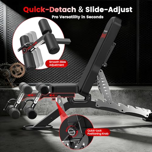 Adjustable Weight Bench for Home Gym