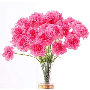 20 inch Bouquets 10 Stem Rainbow Carnations,Outdoor UV Resistant No Fade Artificial Flower,Carnation Silk Petals Fake Flowers Forever Plants for Photo Props Home Party and Wedding Decor (Pink)