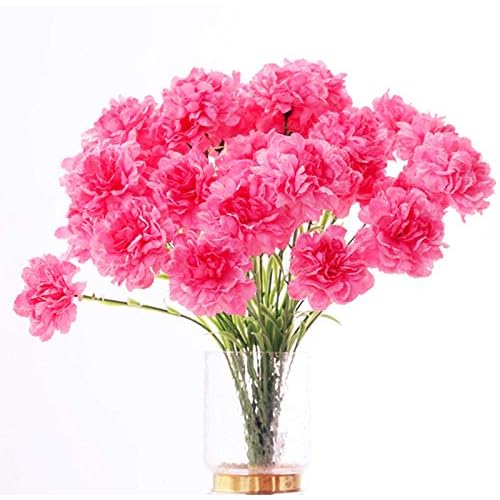 20 inch Bouquets 10 Stem Rainbow Carnations,Outdoor UV Resistant No Fade Artificial Flower,Carnation Silk Petals Fake Flowers Forever Plants for Photo Props Home Party and Wedding Decor (Pink)
