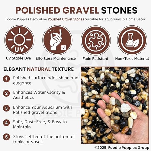 Foodie Puppies Natural Decorative Polished Stone (3 Kg, 1.5cm - 3.5cm) | Mix River Stones Perfect for Aquarium, Fish Tank, Fish Bowl, Fireplace, Vase Filler, Plants Pot, Turtle Tank and Terrarium