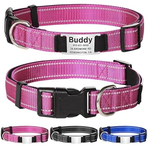 Collier Chien Réfléchissant GISUREY Cover
