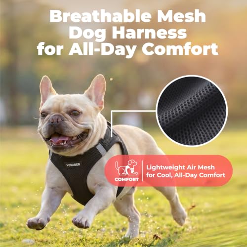 Voyager Step-in Air Dog Vest Harness - Black, Small | 14.5-16" in Chest, Reflective Bands, All Weather Breathable Air Mesh, Cats Compatible, Lightweight, Fast Drying - Image 6
