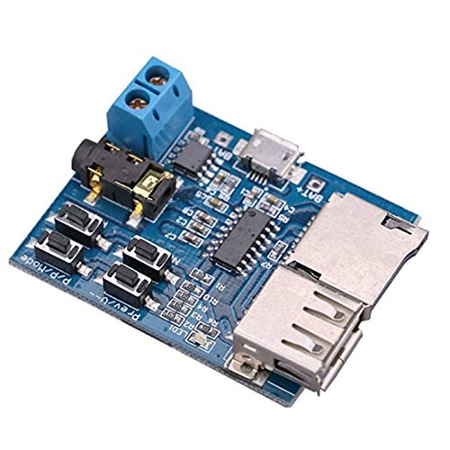 Reinscer Mp3 decodificador sin pérdidas, placa de decodificación Mp3, módulo TF, tarjeta U, reproductor de decodificación con amplificador de potencia