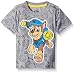 Paw Patrol  Toddler Boys' Short Sleeve T-Shirt Shirt, Grey, 5T