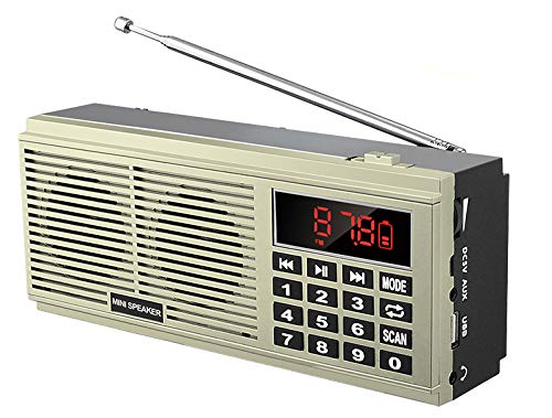 Radio Gurbani portable pour écouter le Nitnem sans connexion - 2