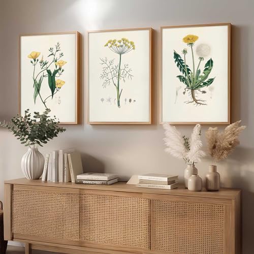 Image of kotart Decorative Aesthetic Botanical Art Home Decoration Painting | Floral Paintings With Frame For Living Room Bed Room Hotel Wall Decor Digital Reprint Set of 3