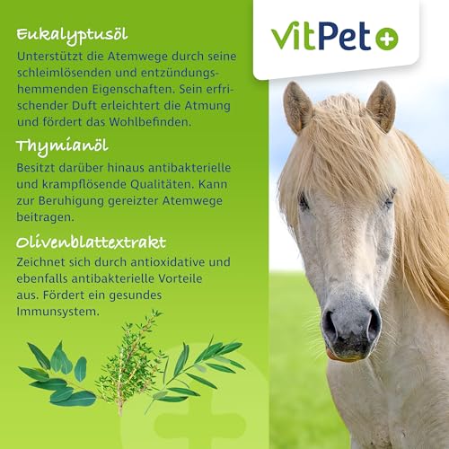 VitPet+ PneumoAir – Inhalationslösung für Pferde – Bei Husten Pferd – Schleimlösend & beruhigend – Mit Eukalyptus & Thymian – Für alle Vernebler – 100 ml