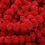 Facile à nettoyer : les fleurs de glycine ont le même aspect et le même toucher que les vraies fleurs, style naturel pur, élégantes et faciles à nettoyer. Nettoyer avec un chiffon à poussière ou un souffleur, ne pas utiliser d'eau ou de savon. Ils seront les mêmes que les nouveaux.