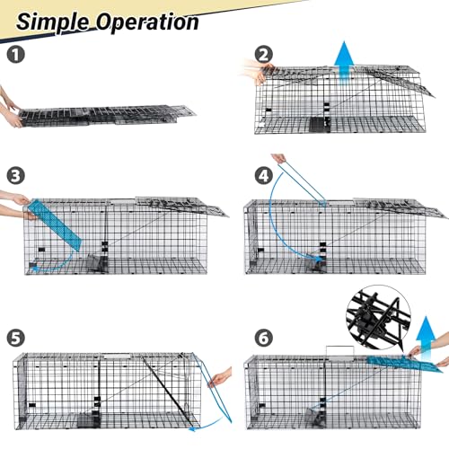 Humane Large Animal Trap Black 42 x 15.7 x 17.7 inch, Easy to Set & Release Animal Trap Cage, Collapsible Live Traps for Dogs, Raccoons, Foxes, Coyotes