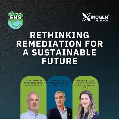 Rethinking Remediation for a Sustainable Future cover art