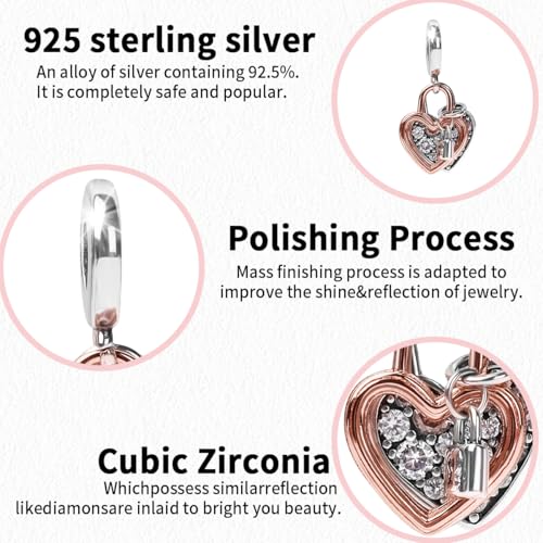 S925 Sterling Silver Beads Charms DIY Charming Beads2