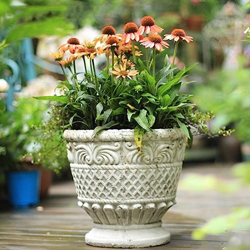 Pot pour plantes d'intérieur stable pour éviter le basculement de vos fleurs - 5