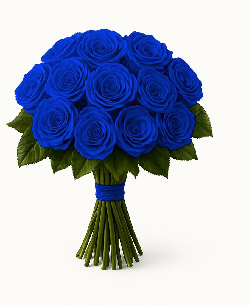 One Dozen Fresh Roses Bouquet, 12 Premium Long-Stem Ecuador Roses, Hand-Tied Floral Arrangement, Fresh Cut Flowers for Valentine’s Day, Anniversaries, Birthdays, Holidays (BLUE, 60CM/23.62IN)
