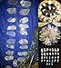 JIC Gem 1 Lb Natural Clear Quartz Crystals Points Bulk Stones and Crystals High Energy Raw White Quartz Crystals Healing Rough Stones Natural Quartz Cluster with Box