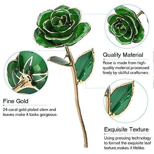 Zjchao 24K Green Rose For Her, Eternal Eternity Love Real Gold Plated Rose Flower, Best Present For Wife/Mom/Girlfriend Anniversary, Wedding, Birthday, Graduation (Green) #TOP7