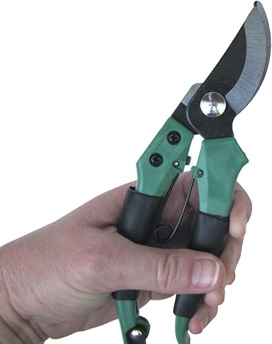 Miniatura 5 de Treasure Gurus - Tijeras de podar con bloqueo de metal, tijeras de podar de mano, herramienta de jardinería, cortadores