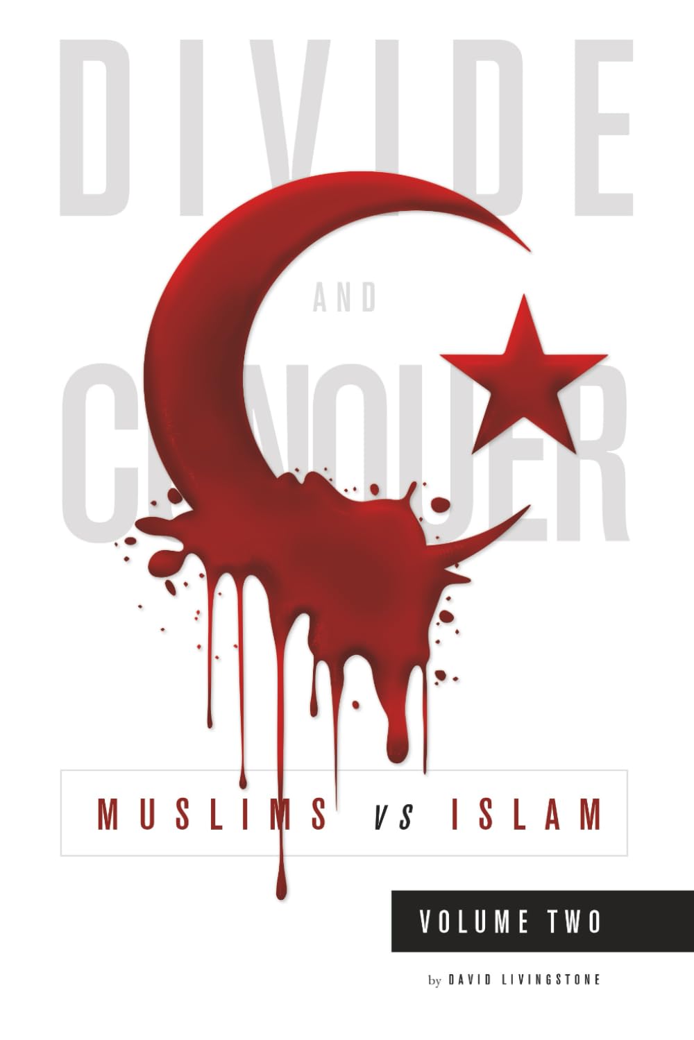 Divide and Conquer: Muslims vs Islam: Volume 2