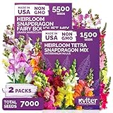 1500 Mix Tetra Snapdragon Seeds (Antirrhinum Majus) & 5500 Mix Dwarf Fairy Bouquet Snapdragon Seeds (Linaria Maroccana) – Heirloom & Organic Flower Garden Seeds, Cut Flower Seeds for Planting