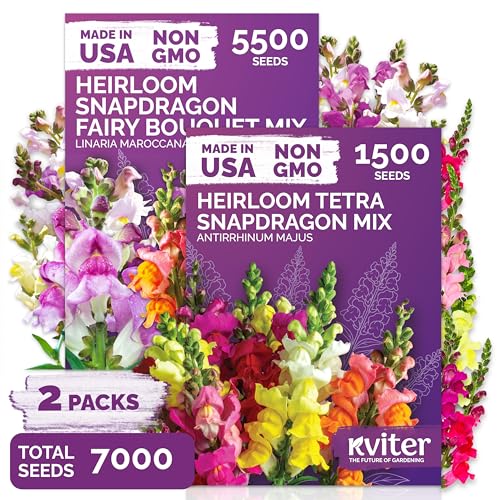 1500 Mix Tetra Snapdragon Seeds (Antirrhinum Majus) & 5500 Mix Dwarf Fairy Bouquet Snapdragon Seeds (Linaria Maroccana) – Heirloom & Organic Flower Garden Seeds, Cut Flower Seeds for Planting