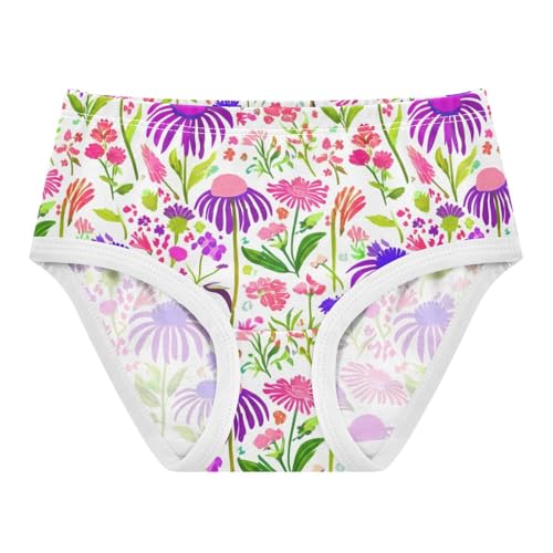 Girls Underwear Toddler 2t Cotton Panties Little Girl Fancy Briefs Underpants Purple Pink Wildflowers
