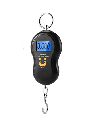 Electronic Digital Hand Canteen 50 Kg Scales Weigh 10 gr Precision