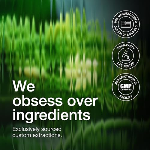 Toniiq Gymnema Sylvestre Ultra High Potency Extract