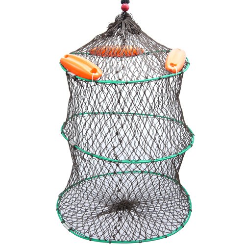 スカリのおすすめ10選 釣れた魚を安全 新鮮に入れる釣具をご紹介 暮らし の