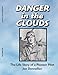 Produktbild Danger in the Clouds: The Life Story of a Pioneer Pilot, Joe Donnellan