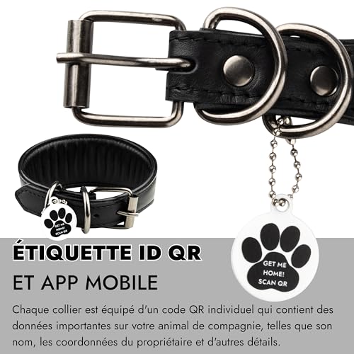 Collier en cuir pour lévrier de haute qualité avec QR code d'identification