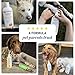 Veterinary Formula Clinical Care Antiseptic & Antifungal Medicated Shampoo and Spray for Dogs and Cats - Helps Alleviate Scaly, Greasy, or Red Skin - Paraben, Dye, and Soap Free, 2 Pack Bundle