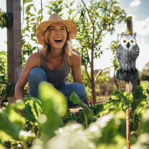 5 Pieces Rubber Snakes Fake Owl Set Includes 29 Inch Toy Snakes Realistic Rubber Garden Snakes Plastic Owl Statue To Keep Birds Away Halloween Decoration For Outdoor Yard Props #TOP3