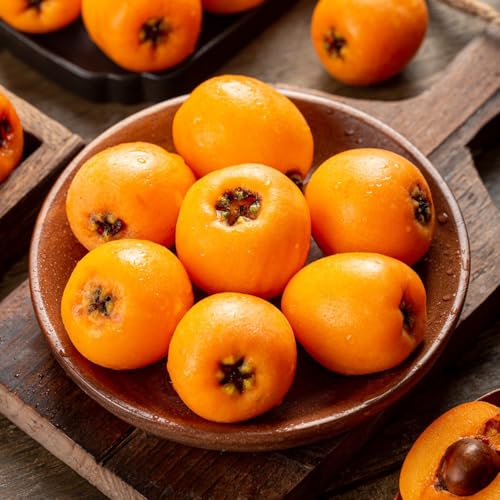 Semillas de níspero - níspero japonés, árboles frutales, semillas de frutas Plantas para exterior, árboles para jardín. fruta columnar, cultivo de semillas plantas perennes, regalos 15pcs