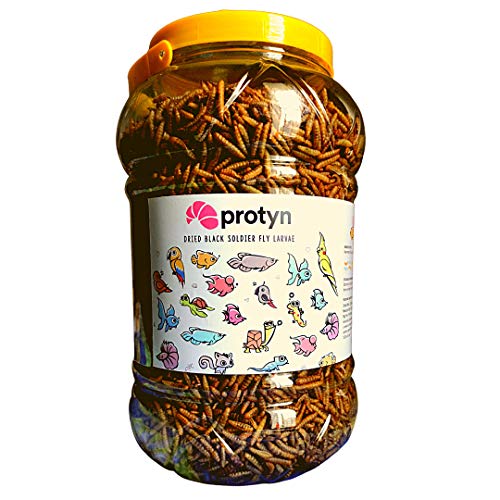 Buy Protyn Whole Dried Black Soldier Fly Larvae Adult Treat Dry Food