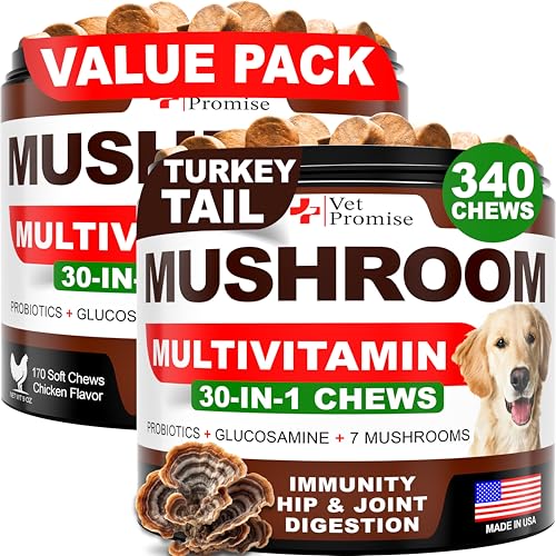 (2 Pack) Mushroom for Dogs - 340 Chews - Turkey Tail - Mushroom Supplement for Dogs - Lions Mane - Reishi - Immunity Support Multivitamin Vitamins - Joint Health - Energy - Gut - Skin - Made in USA