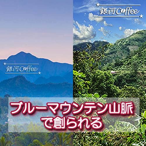銀河コーヒー ブルーマウンテンNo1 セントピータース 中挽き粉 150g