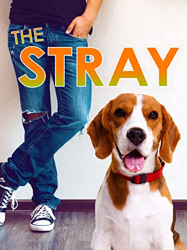 The Stray