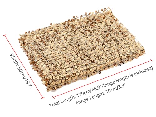 Women Sequin Shawls and Wraps for Evening Dresses, Fringed Sparkly Dressy Scarf for Wedding Party4