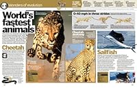 How It Works Book of Amazing Animals 1908955503 Book Cover