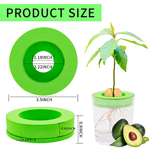 Neobeauty Avocado Tree Growing Kit 4 Pack，Hollow Floating Not Sinking，Avocado Seeds Growing Gifts For Women, Mom, Sister, Best Friend & Kids，Kitchen Garden Seed Starter #TOP1