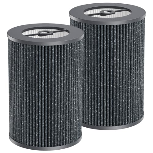 Filtre Compatible Molekule Air Pro à Charbon Actif | Double filtration multi-étapes haute efficacité