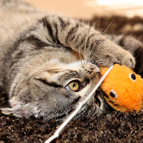 Cat Activity Center- Interactive Play Area Station For Cats, Kittens With Fleece Mat, Hanging Toys, Foldable Design For Exercise, Napping By Petmaker #TOP4