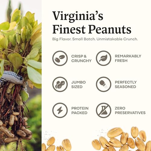 Image of Belmont Peanuts Gourmet Sea-Salted Virginia Peanuts, 38 oz Stock the Pantry Bundle (Pack of 4) | 3 Ingredients, No Preservatives, 7g Protein | A Premium, Salty, Crunchy, Hand-Seasoned Snack