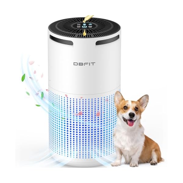 Air Purifiers for Home Large Room Up to 1500ft² with Aromatherapy, DBFIT H13 HEPA Air Purifier Air Cleaner for Smoke Pollen Dust Pet Hair Dander Odor, Portable Air Purifier with Timer (White)
