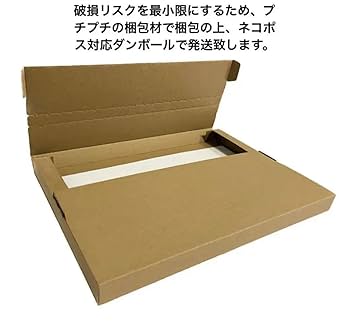 インド　ブラックメタル　廃盤　गौतम बुद्ध - पुनर्जन्म भाग १ CD インド ブラックメタル 廃盤 गौतम बुद्ध