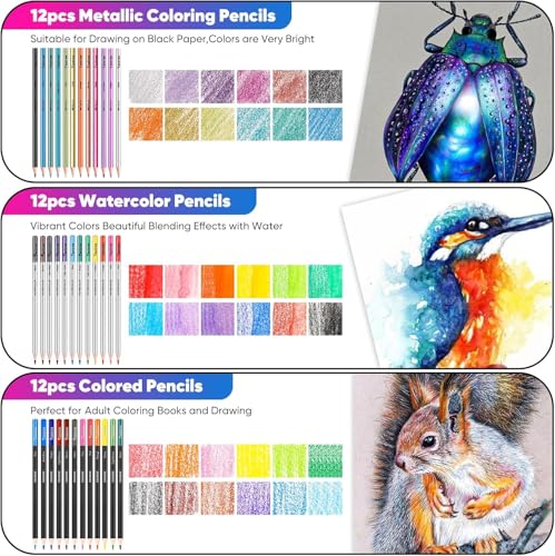 Taotree 81 Pack Art Supplies for Adults Artists Gifts, Pro Art Kit Drawing Pencils Set, Drawing Supplies Sketching Kit Sketch Book, Colored Graphite, Watercolor, Metallic, Charcoal Pencils Sketch Set - Image 5