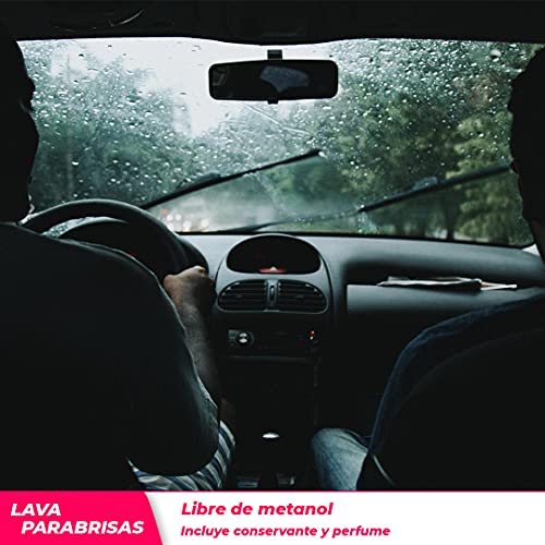 NorthMark Limpia Parabrisas Anticongelante Coche, Protección Lavaparabrisas -5°C, 5 litros, Liquido Anti-Lluvia
