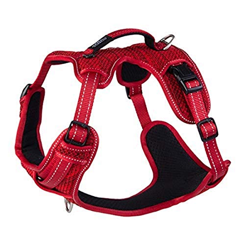 Rogz Explore Padded Harness Red Medium